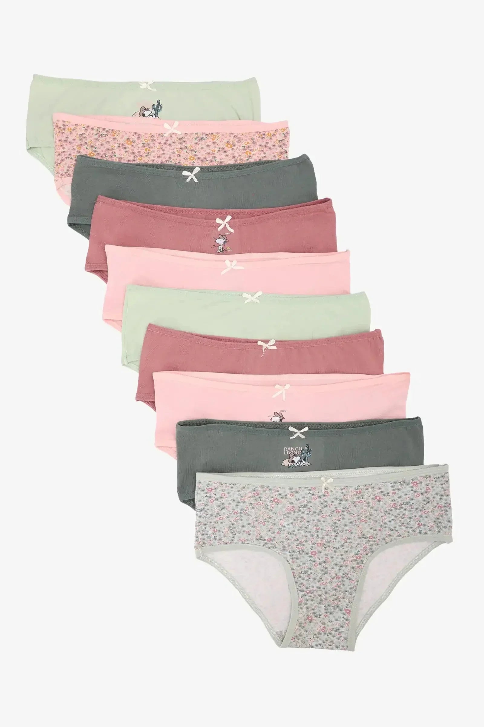Carina - Pack of 10 Colored Brief Panties 1