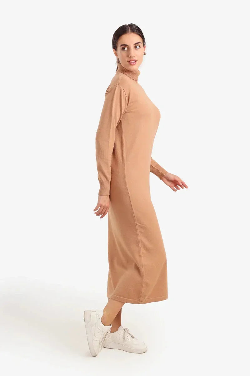 Carina - Knit Turtle Neck Midi Dress 4
