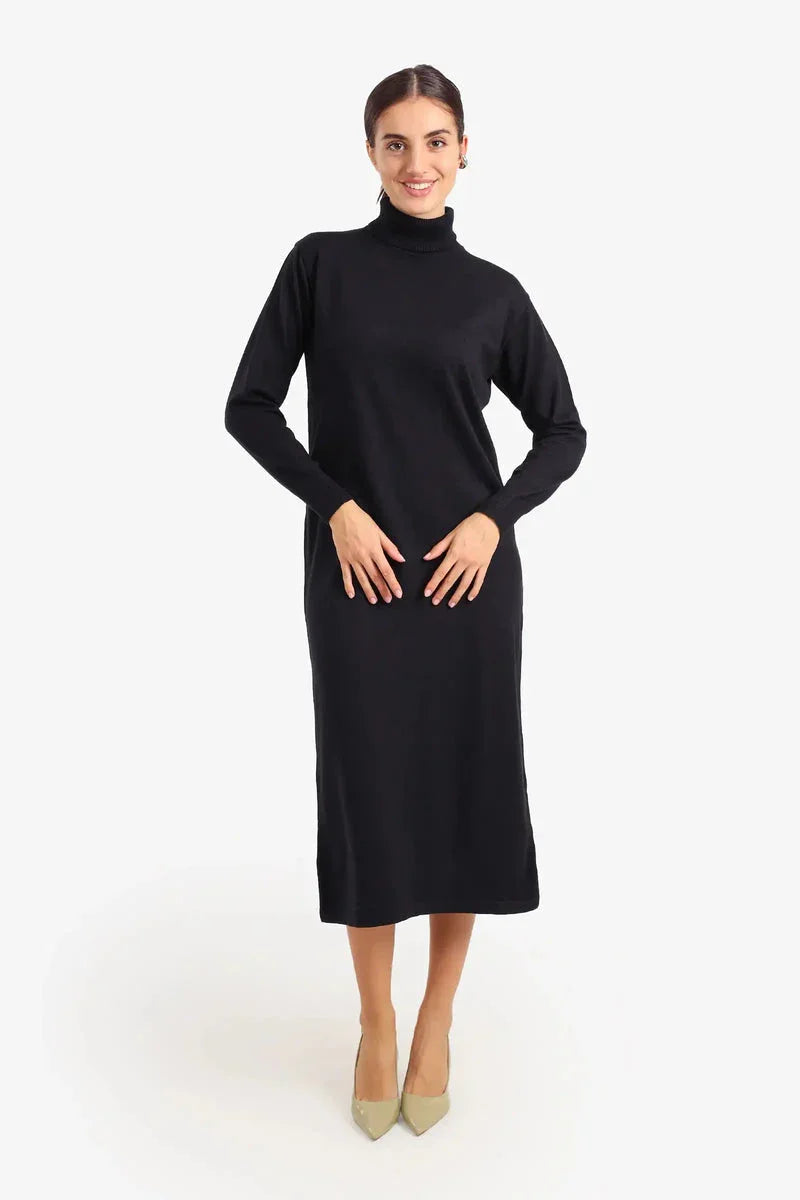 Carina - Knit Turtle Neck Midi Dress 1