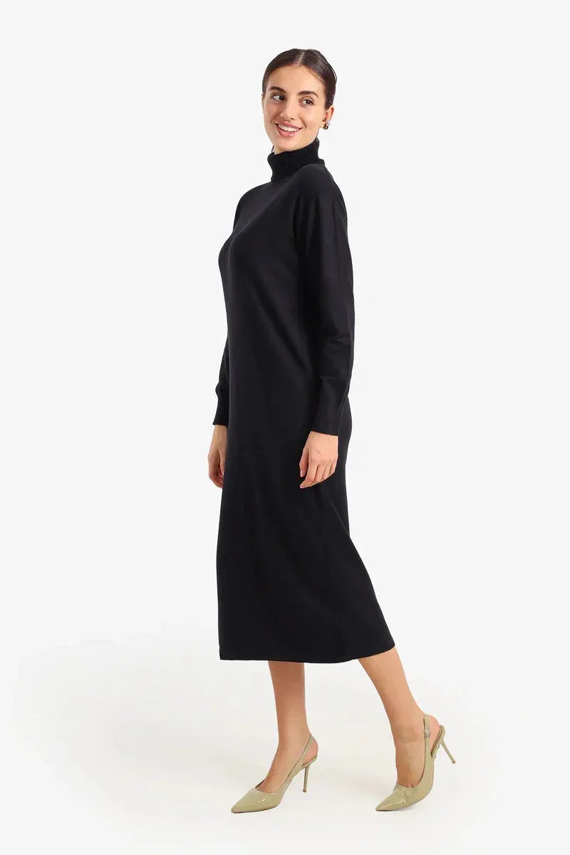 Carina - Knit Turtle Neck Midi Dress 3