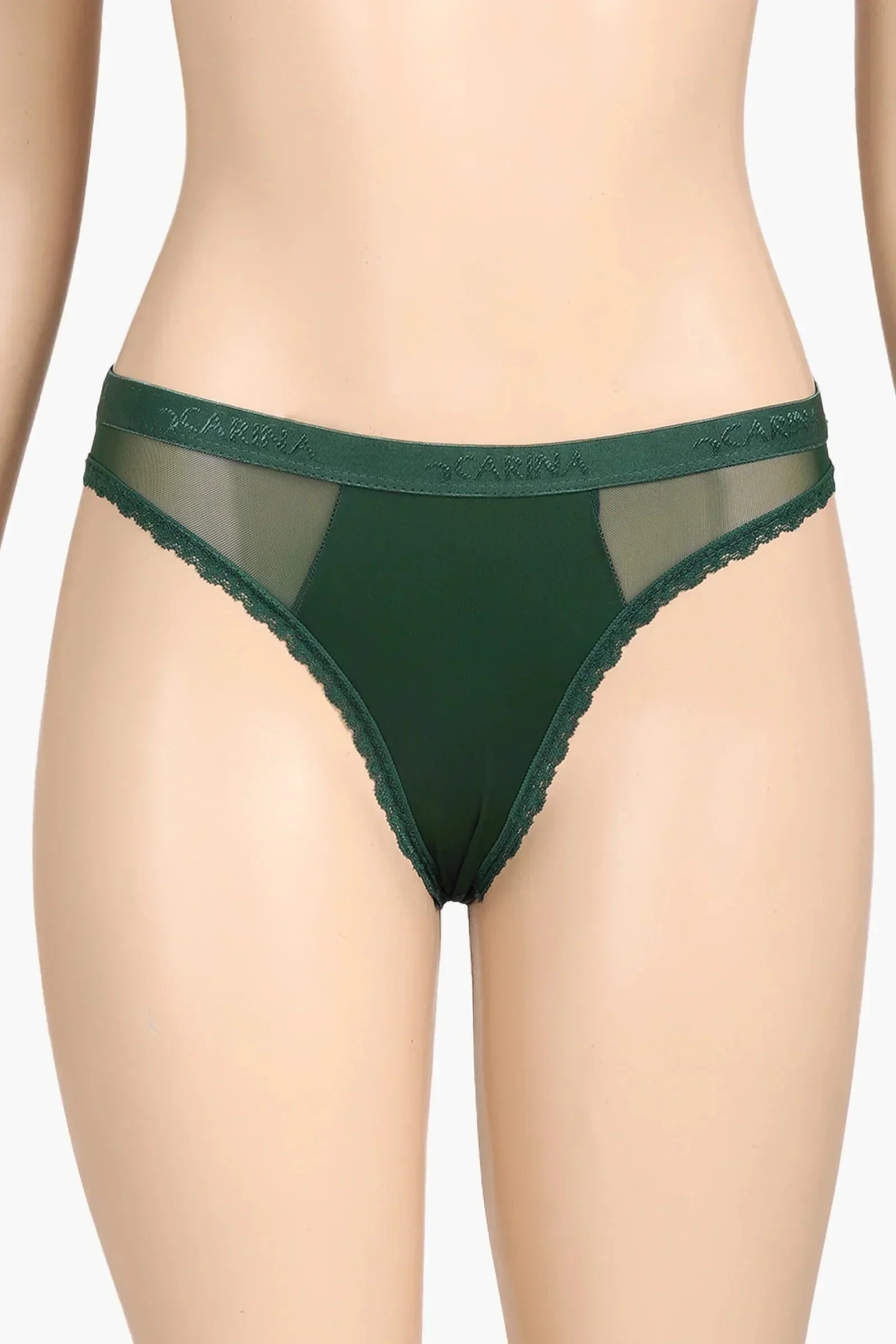 Carina - Sheer Mesh Detail Panty 4