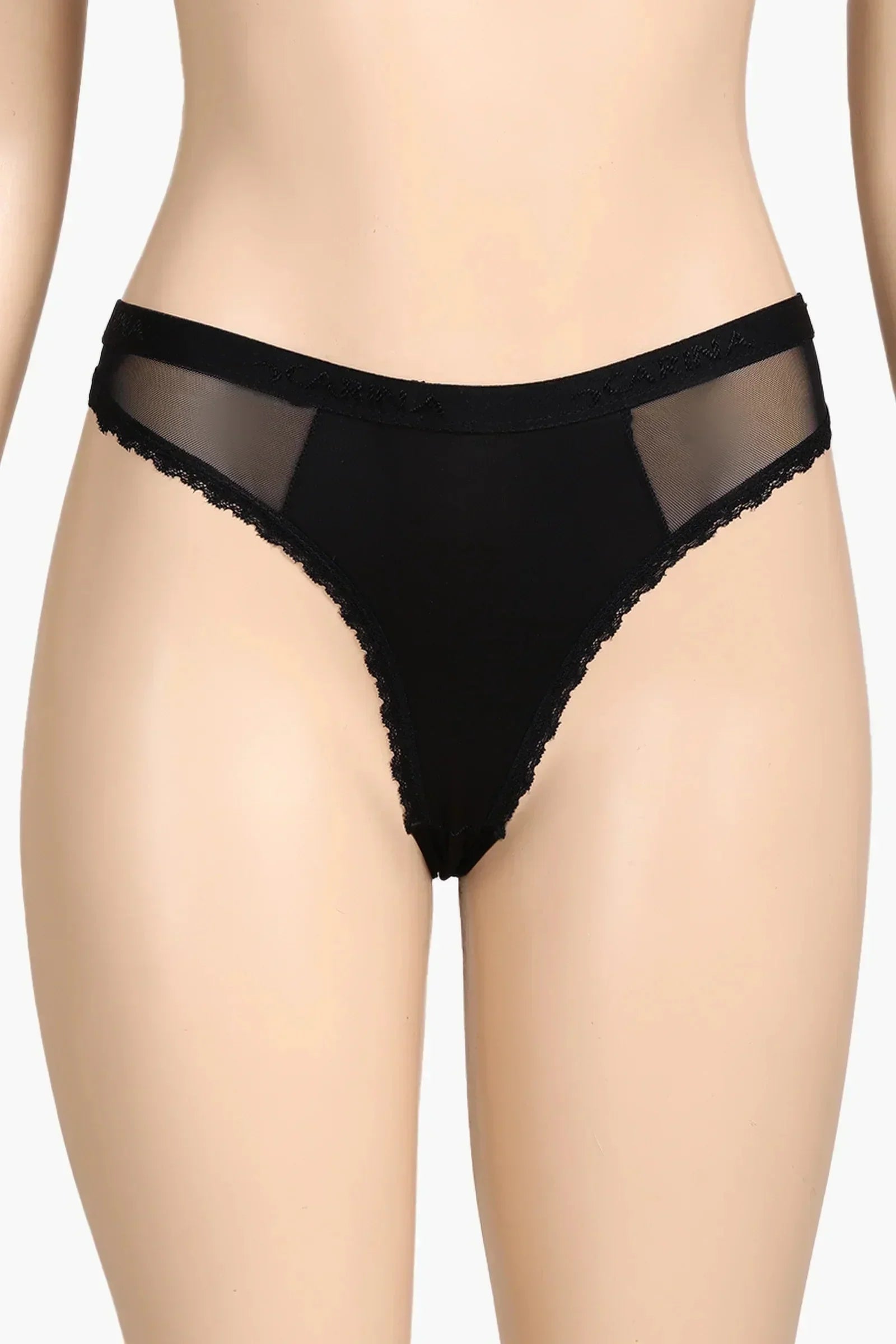 Carina - Sheer Mesh Detail Panty 3