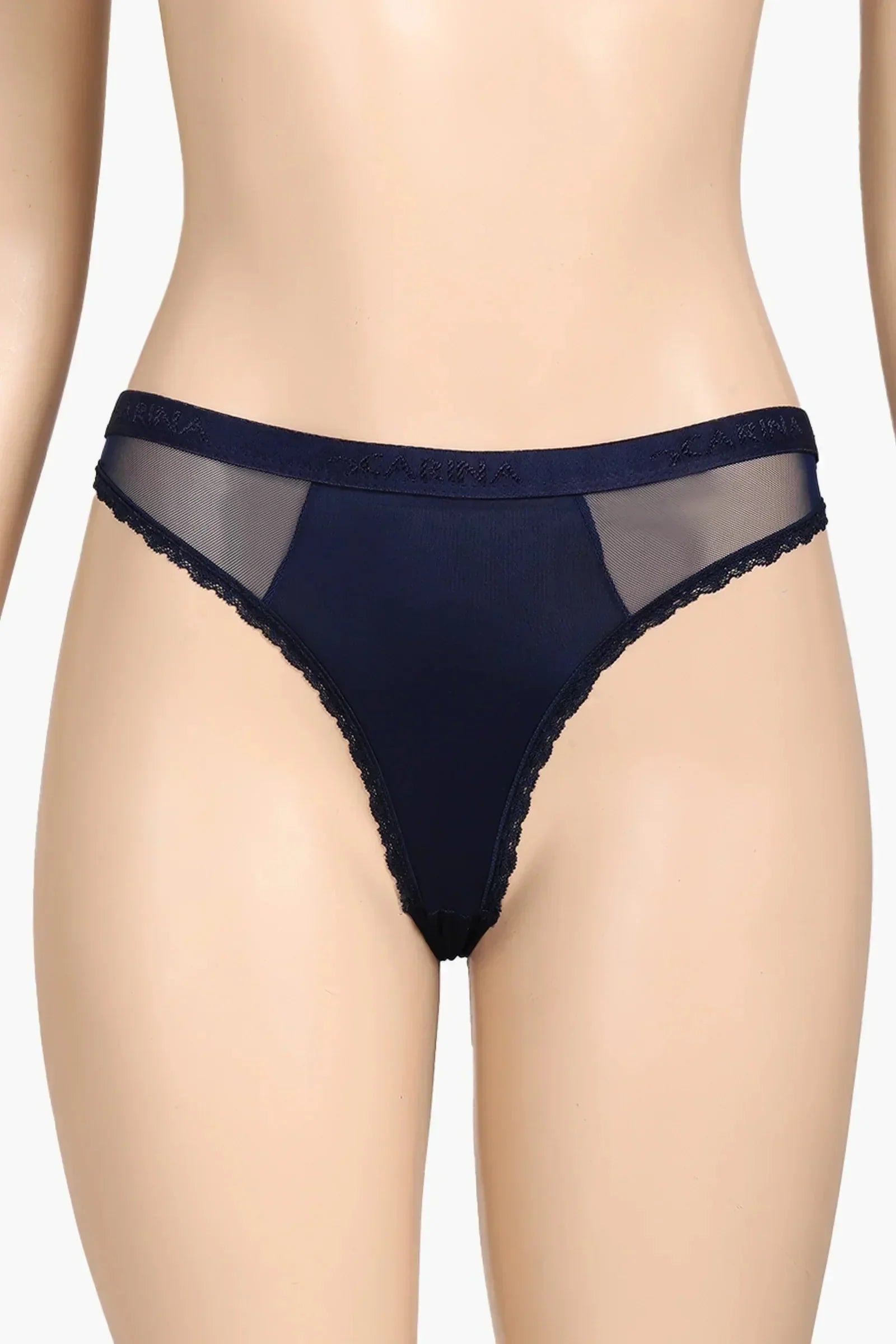 Carina - Sheer Mesh Detail Panty 1