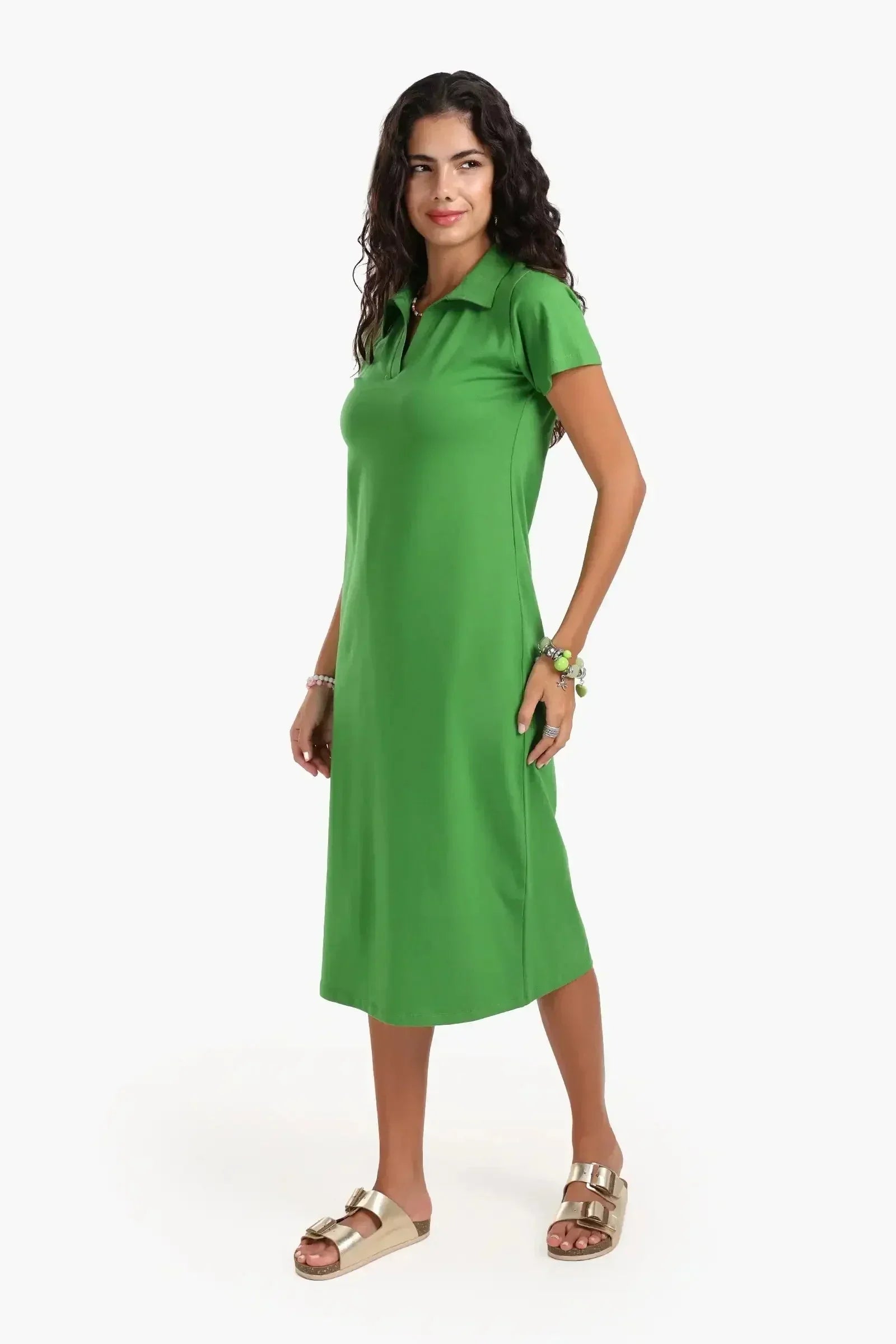 Carina - Polo Neck Midi Dress 13
