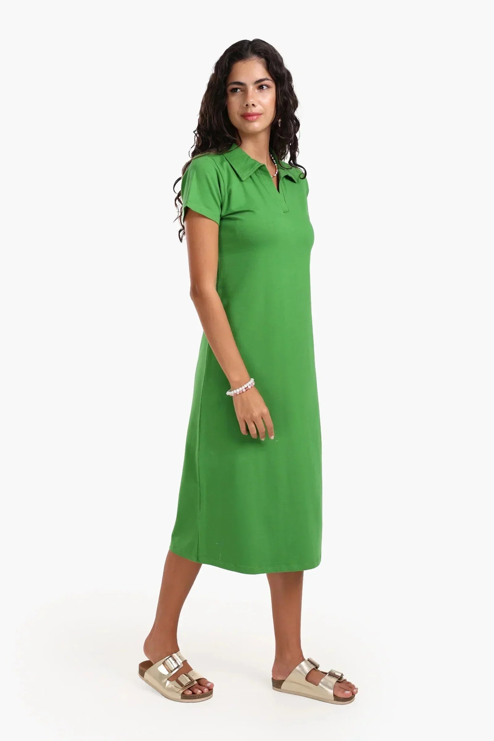 Carina - Polo Neck Midi Dress 2