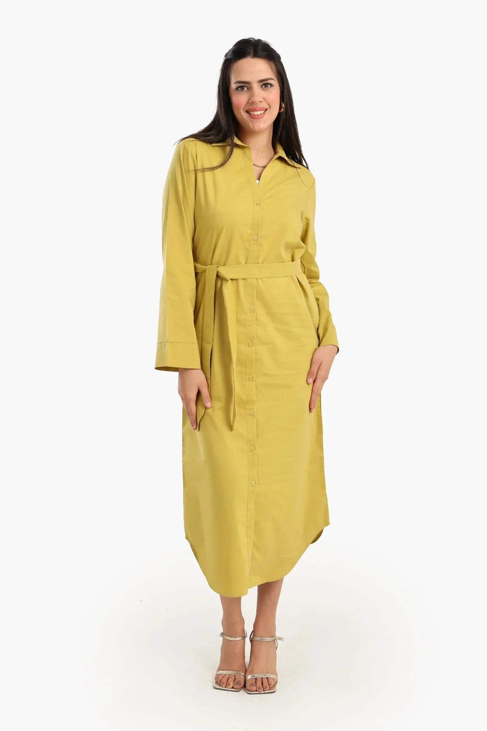 Carina - Classic Poplin Shirt Dress 1