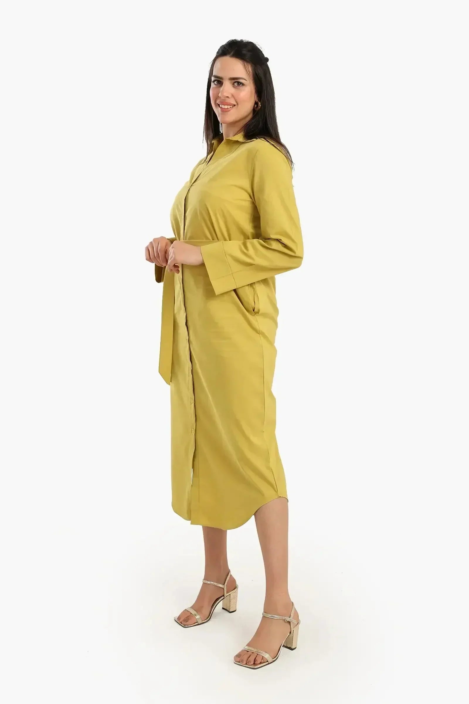 Carina - Classic Poplin Shirt Dress 5