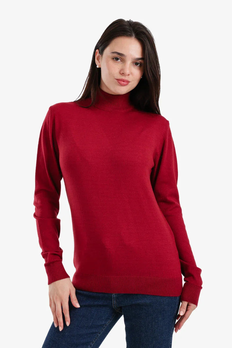 Carina - Slim Fit High Neck Pullover 3