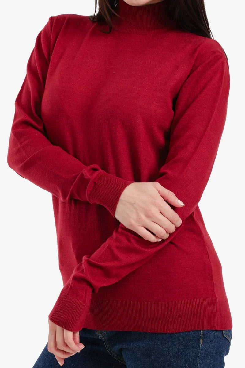 Carina - Slim Fit High Neck Pullover 13