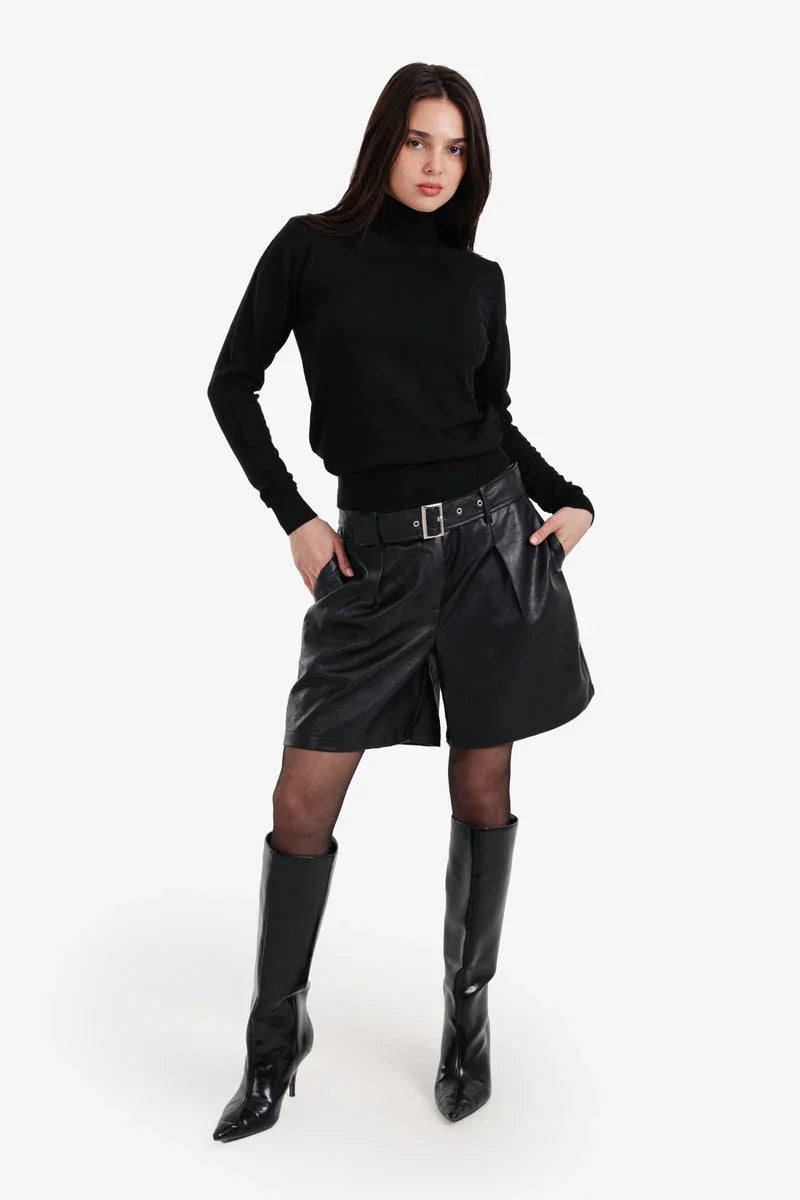 Carina - Slim Fit High Neck Pullover 20