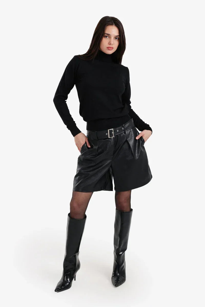 Carina - Slim Fit High Neck Pullover 20