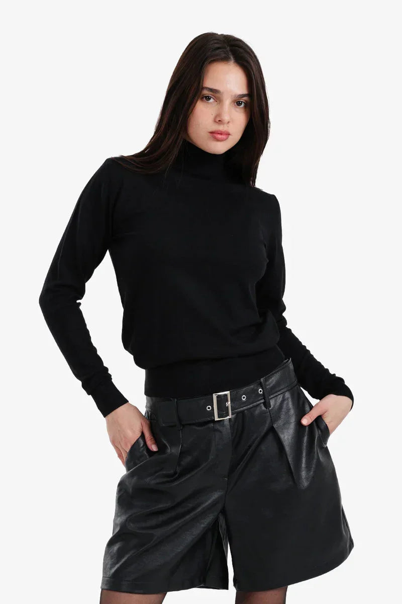 Carina - Slim Fit High Neck Pullover 1