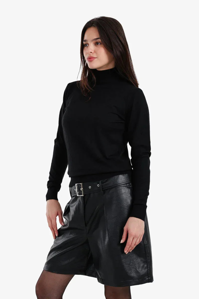 Carina - Slim Fit High Neck Pullover 8