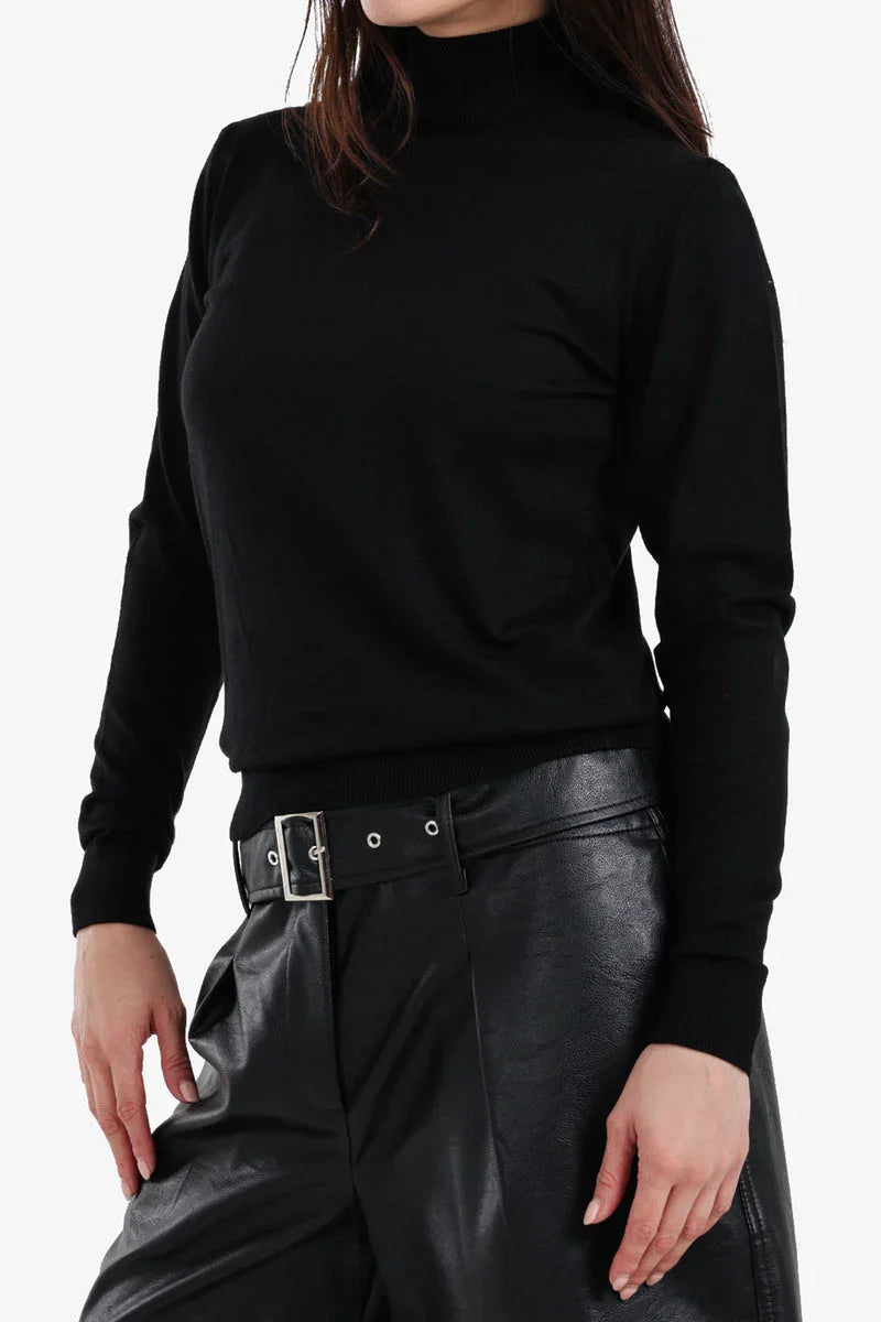 Carina - Slim Fit High Neck Pullover 15
