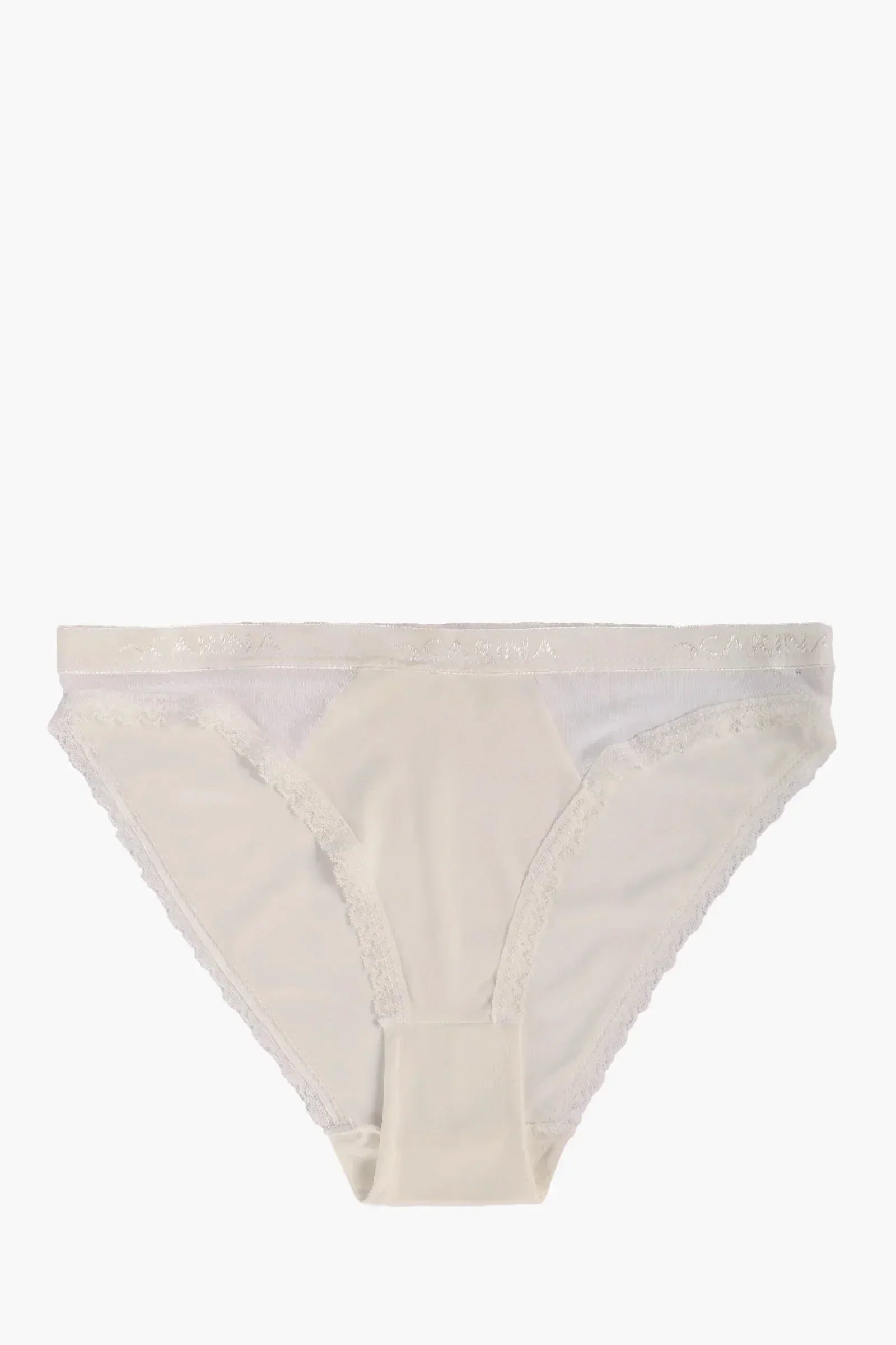 Carina - Sheer Mesh Detail Panty 7