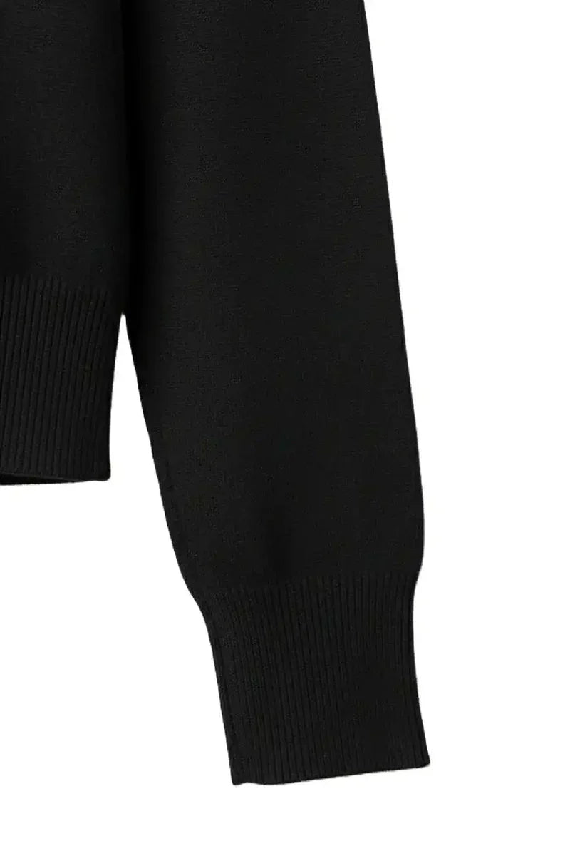 Carina - Slim Fit High Neck Pullover 25