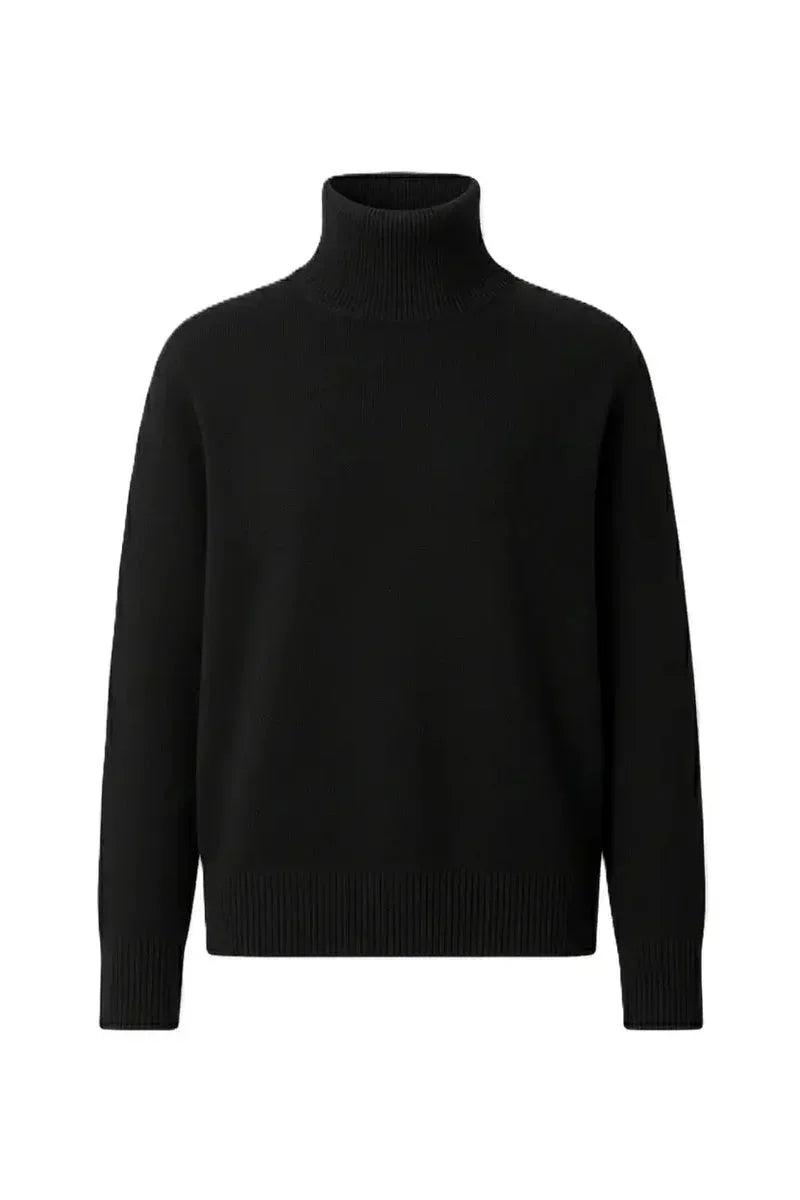 Carina - Slim Fit High Neck Pullover 23