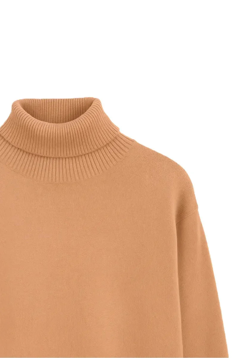 Carina - Knit Turtle Neck Midi Dress 12