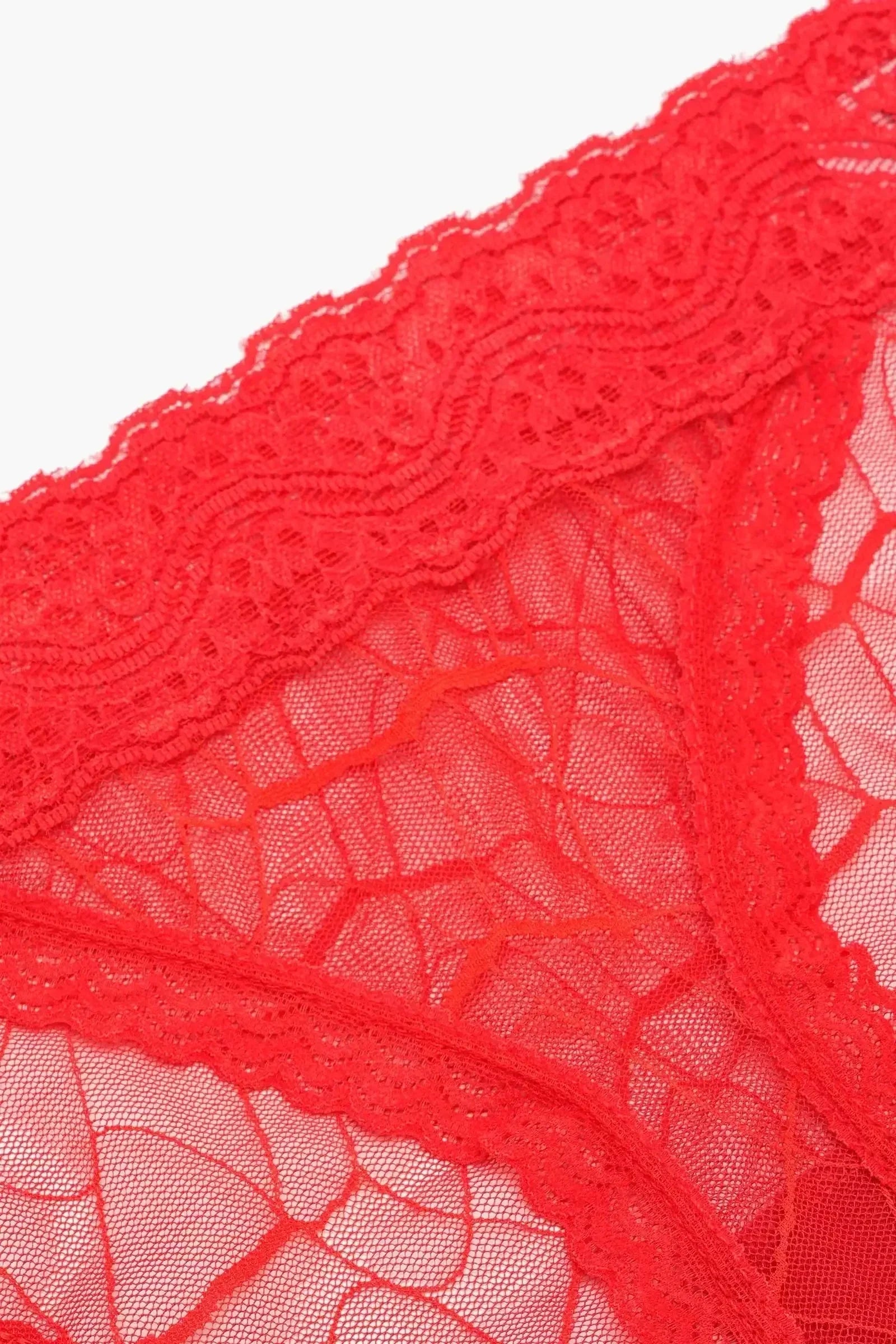 Carina - Essential Lace Bikini Panty 1