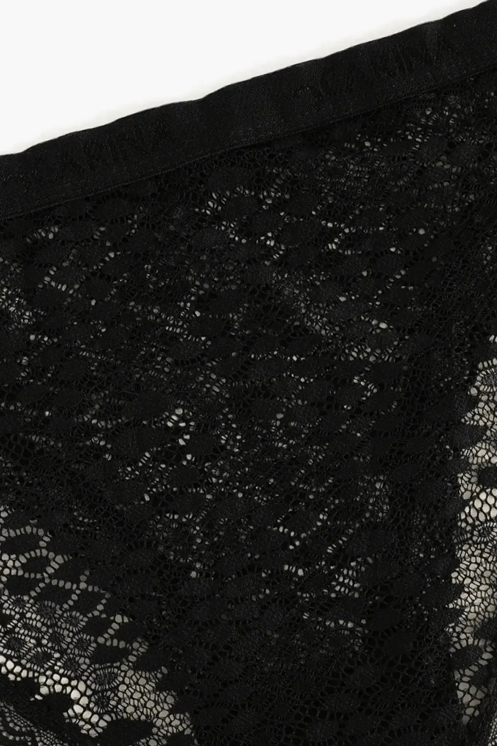Carina - Elegance Lace Brief Panty 2