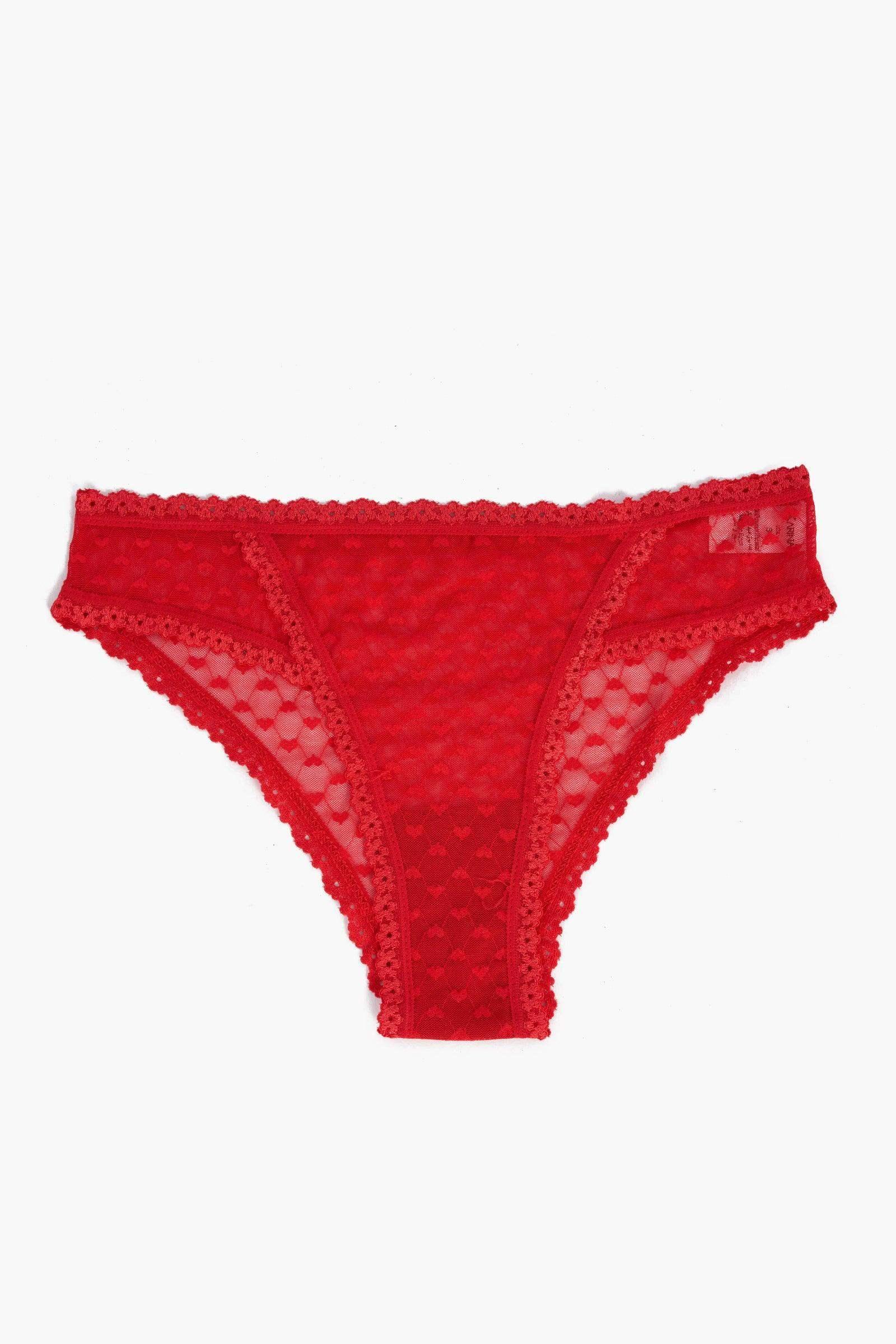 Carina - Elegance Lace Bikini Panty 5