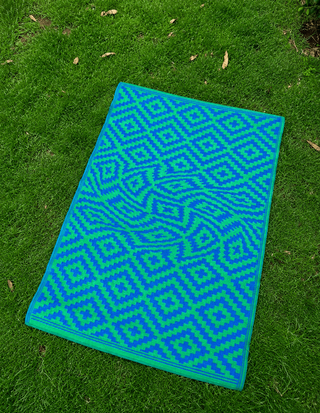 ASPARAGUS BLUE MAGIC CARPET - The Cult Shop - Babazzaro
