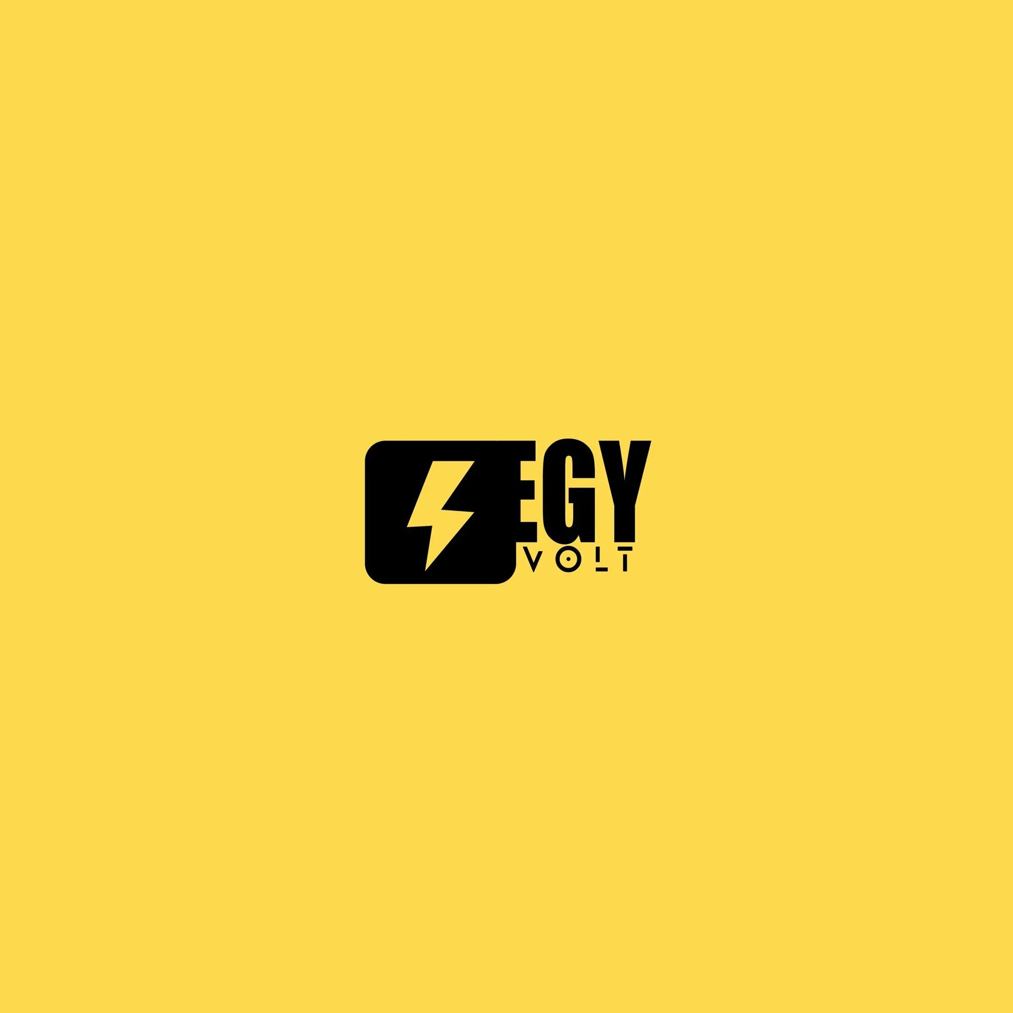 Brand - EgyVolt - Babazzaro