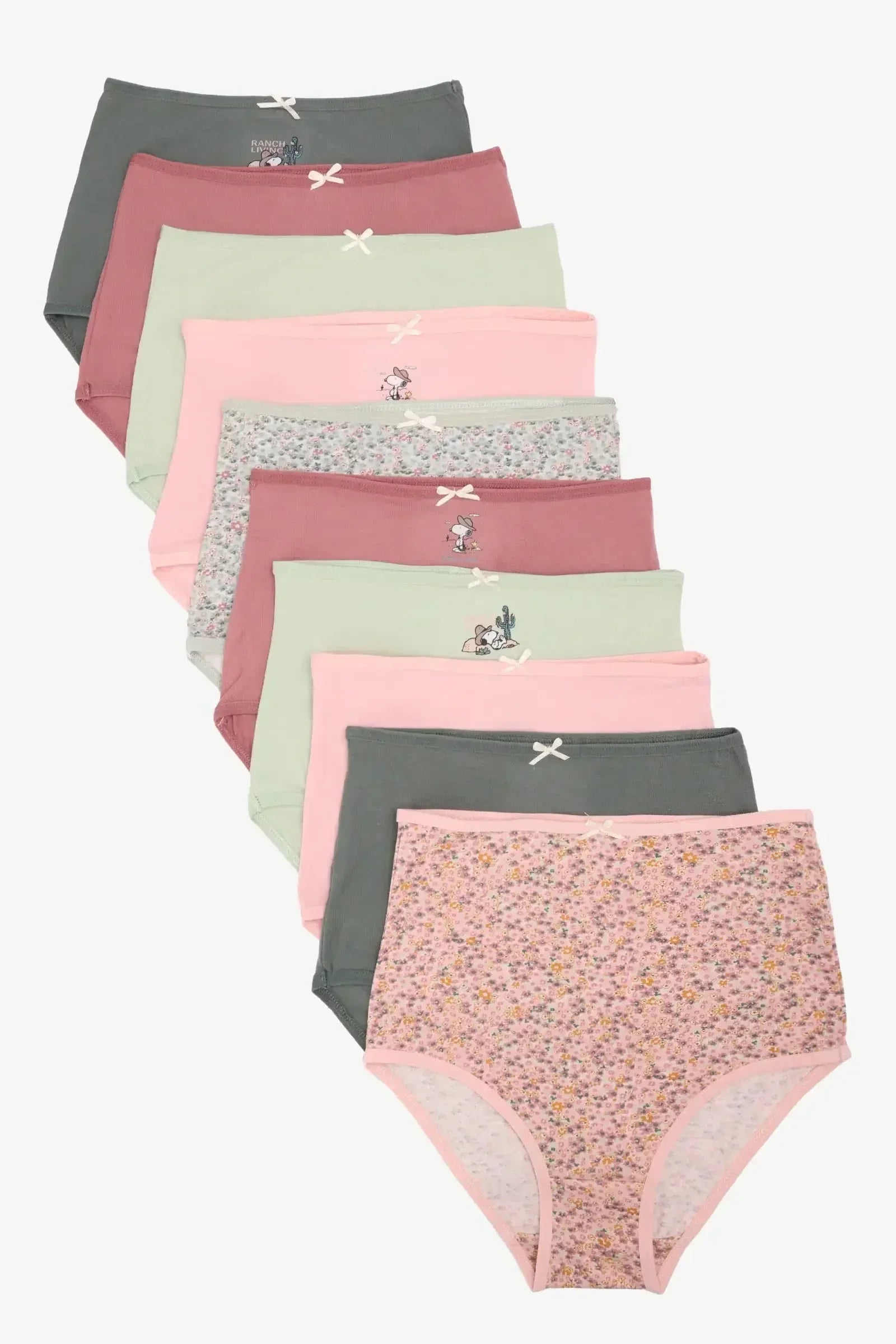 Carina - Pack of 10 Colored Full Brief Panties 1