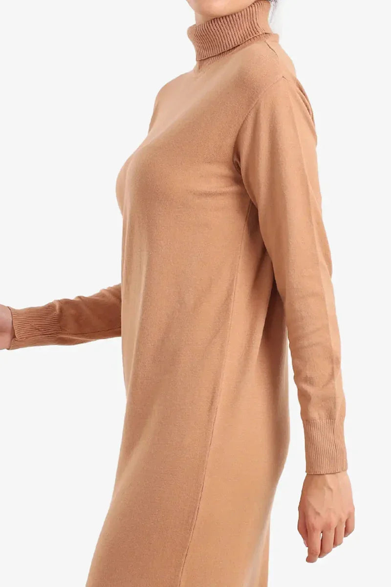 Knit Turtle Neck Midi Dress - Carina