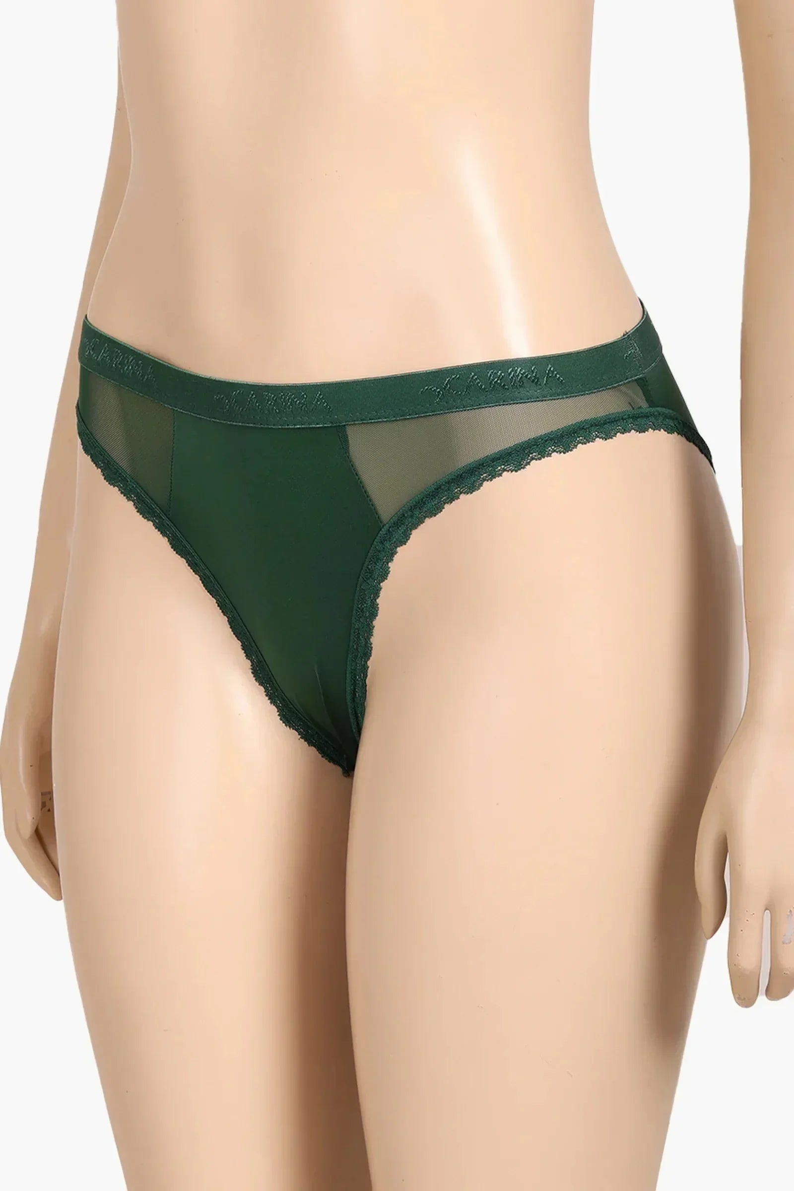Carina - Sheer Mesh Detail Panty 5