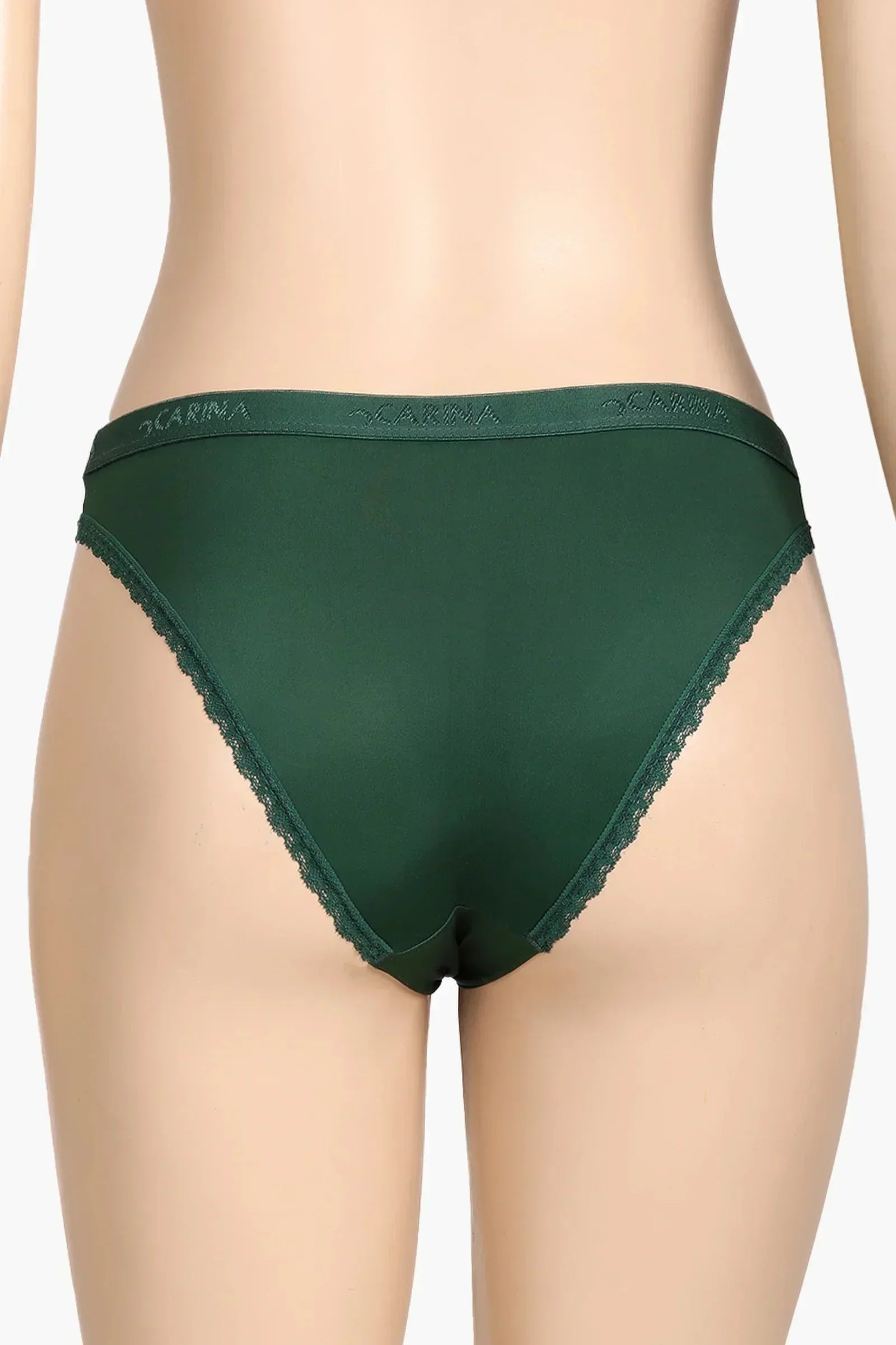 Carina - Sheer Mesh Detail Panty 6