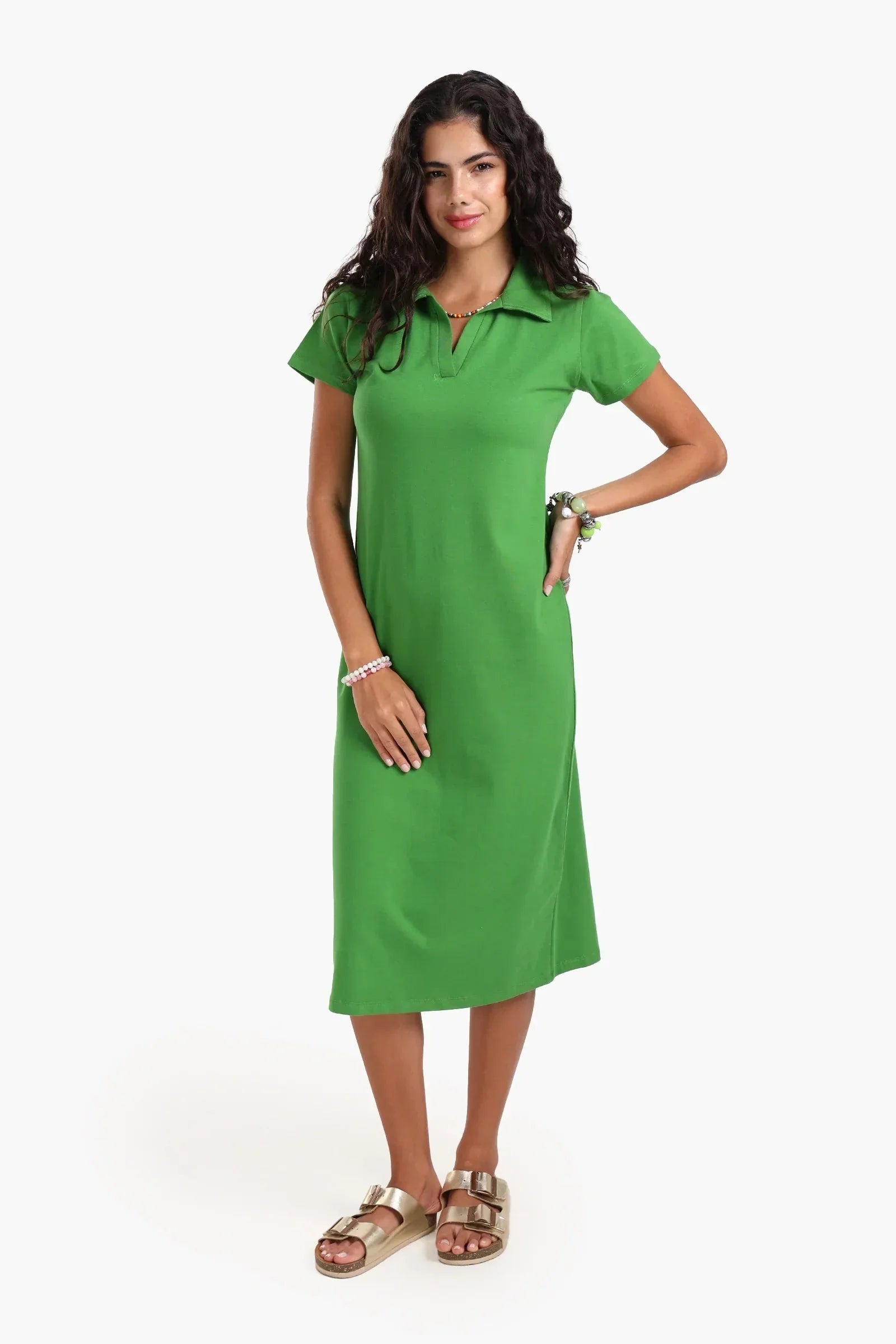 Carina - Polo Neck Midi Dress 1