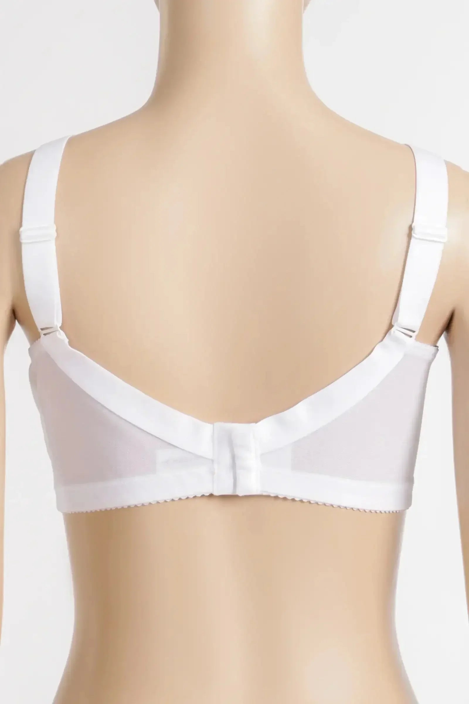 Carina - Lace Wide Straps Minimizer Bra 2