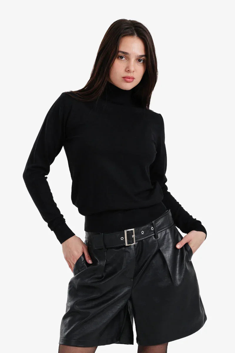 Carina - Slim Fit High Neck Pullover 1