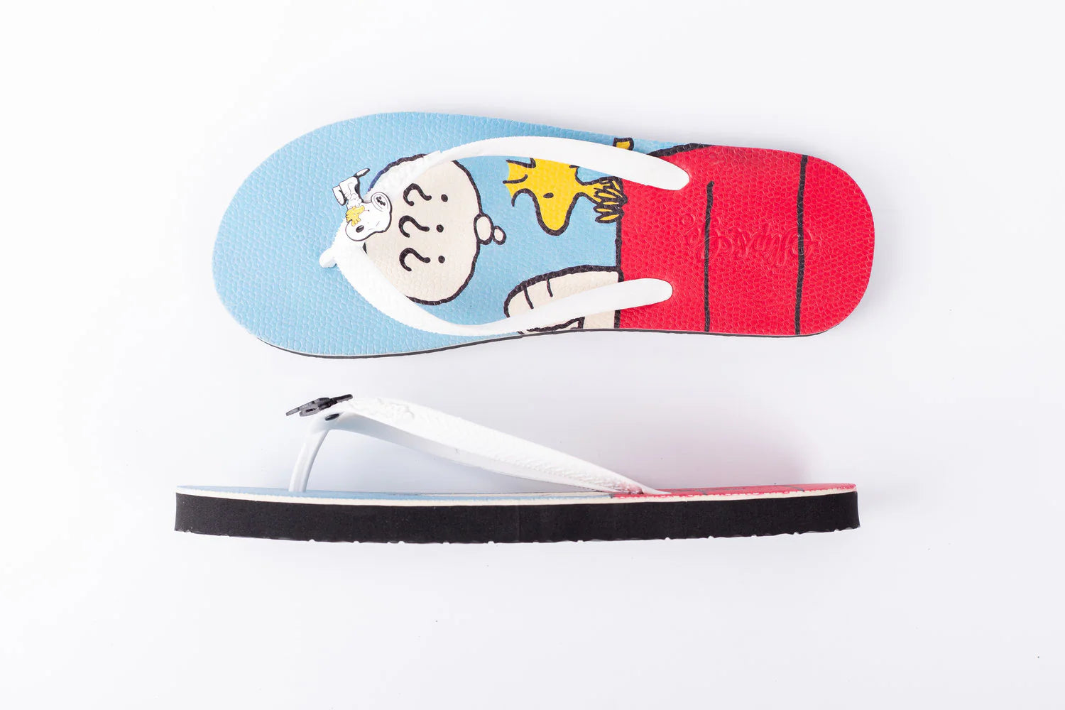 Doggy Men’s Slipper - Slip&Go 2