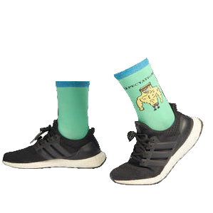 Comedy Socks - Expectations VS Reality