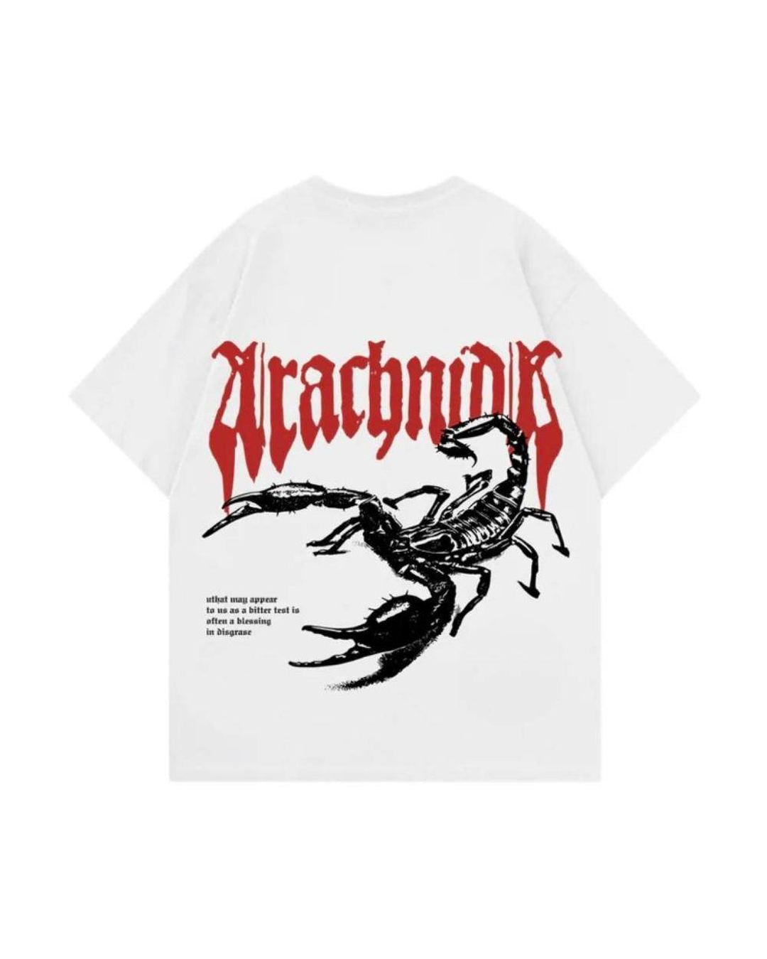 Brodli - Arachnid Tee 1