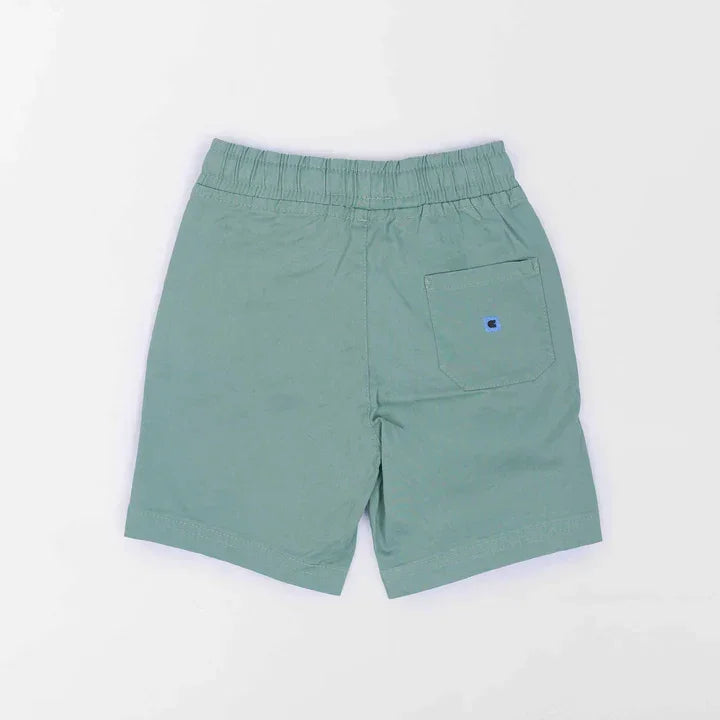 Colour Capsules The Chino Shorts 4