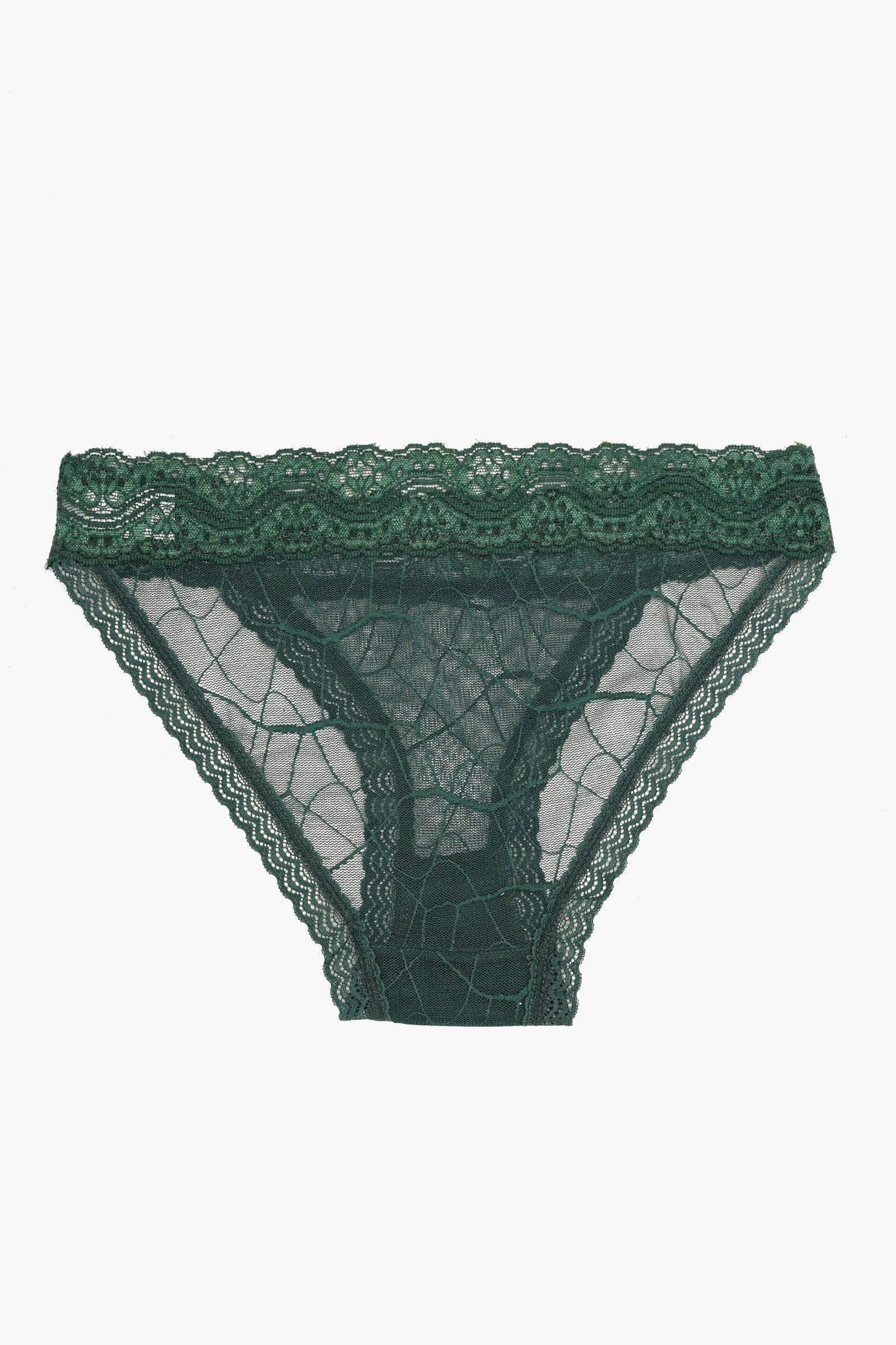 Carina - Essential Lace Bikini Panty 2