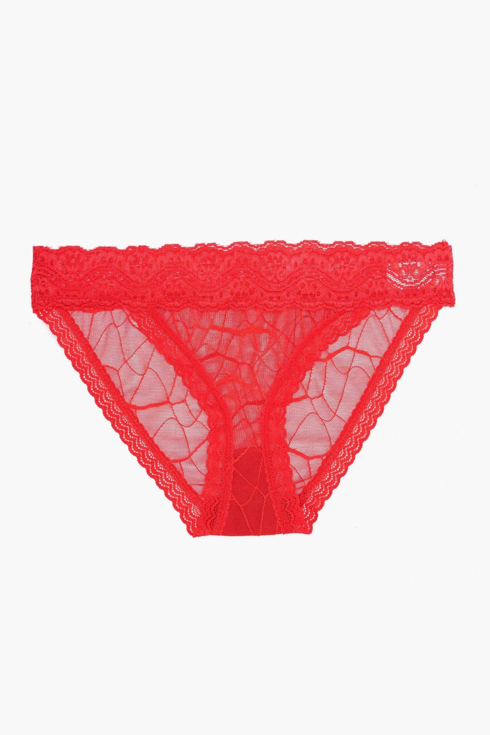 Carina - Essential Lace Bikini Panty 4