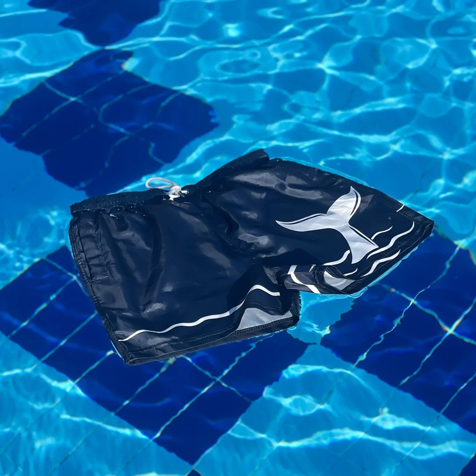 Dive - Surg 5