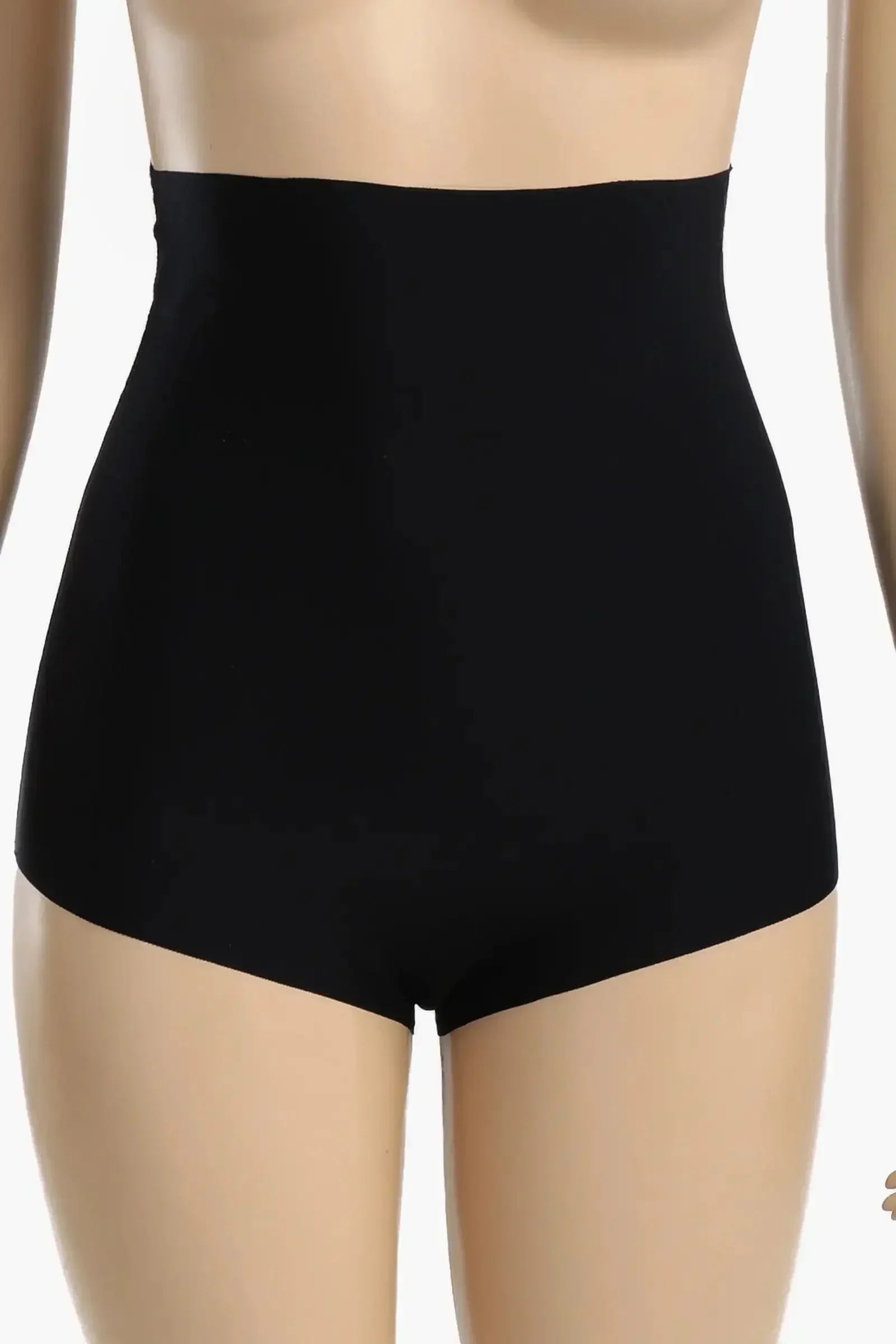 Carina - High Waist Brief Corset 4