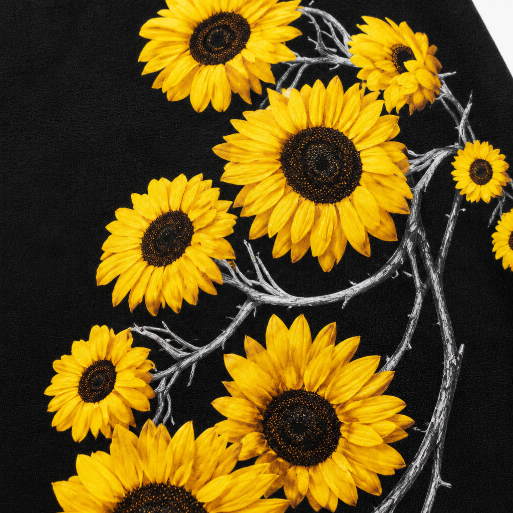 Sun flower - Mexici 5